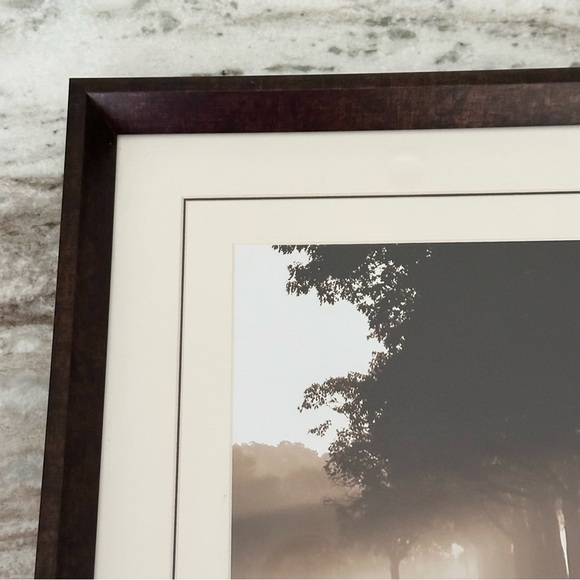 Sepia Tree Landscape Print Framed Glass Art - Wall Decor - Picture 4 of 16